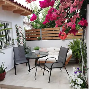 Small With Yard Appartamento